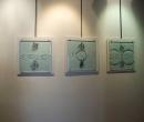 Associazione culturale DiVetro - Sansepolcro